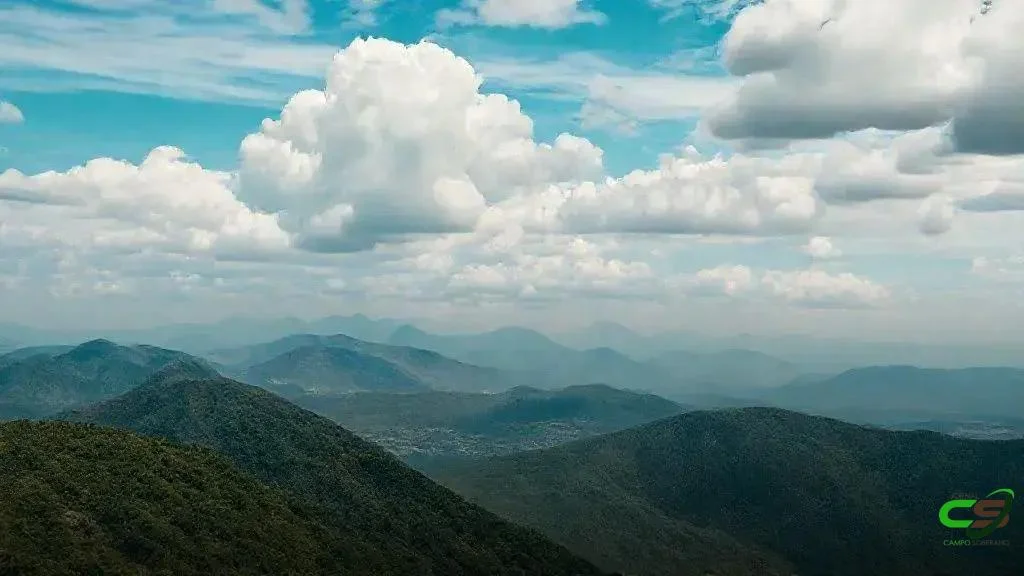 Preços da reposição de boi e vaca sobem, com Cepea apontando alta expressiva