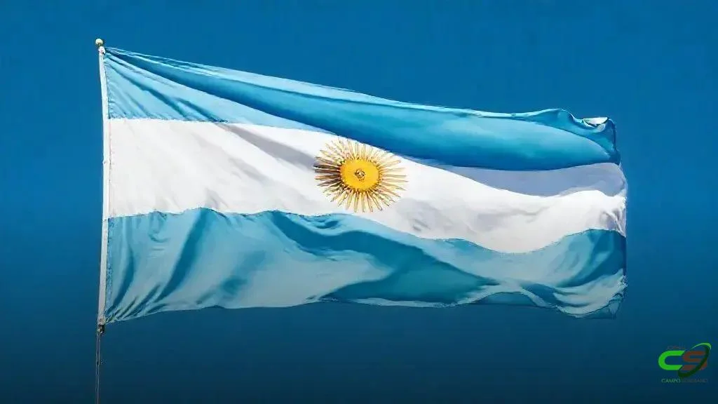 Preços do boi na Argentina atingem nível histórico em duas décadas