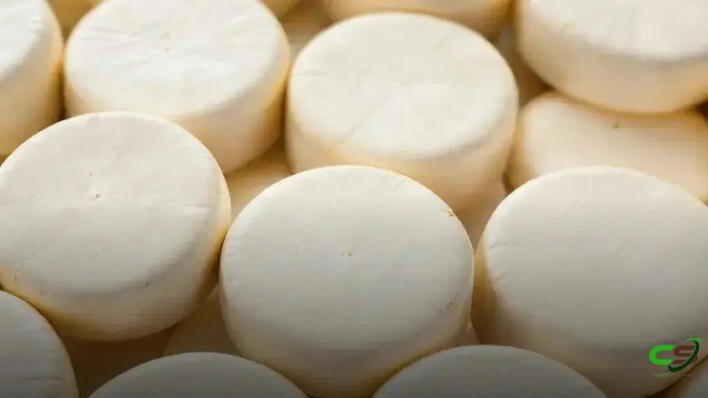 Queijo Paulista: Rotas impulsionam o crescimento da produção artesanal em SP