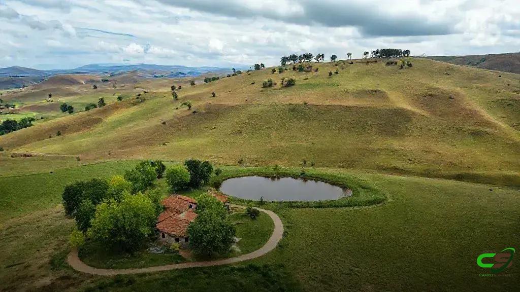 Reserva Legal em Fazendas Antigas: Direito Adquirido Pode Reduzir Percentuais