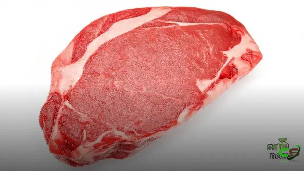 Revolutionizing Education with Artificial Intelligence