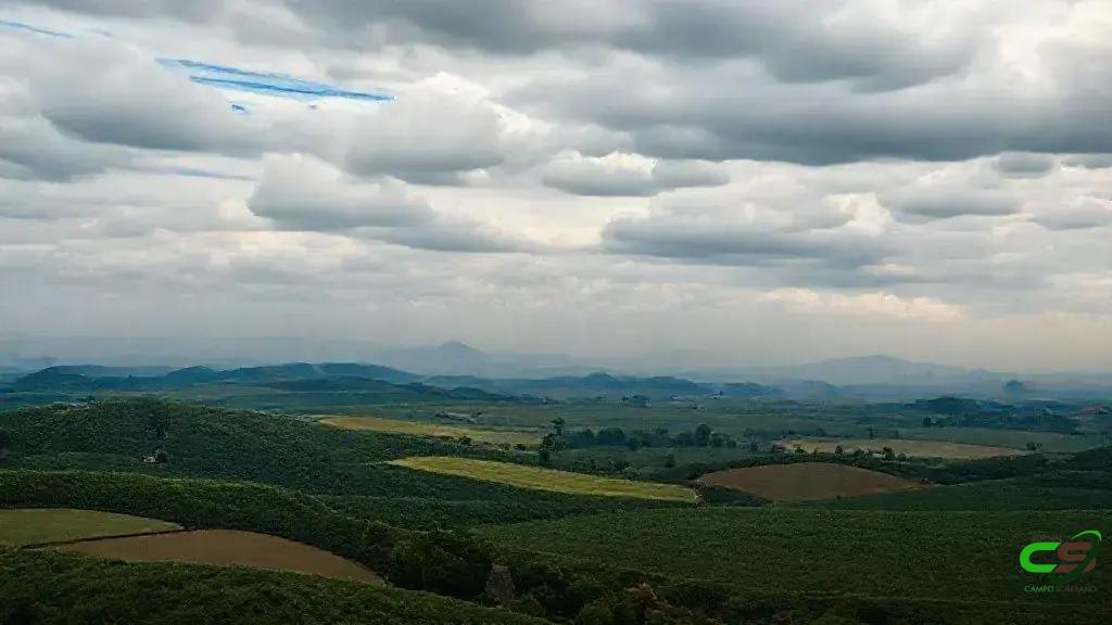 Sebrae e Aurora Coop atualizam metodologias do Encadeamento Produtivo