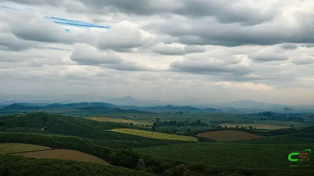 Sebrae e Aurora Coop atualizam metodologias do Encadeamento Produtivo
