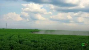 Sete empresas do agro podem reduzir emissões a nível da Noruega, diz Trase