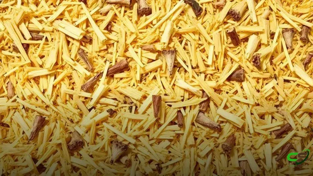 Silagem sem perdas: cuidados que aumentam peso e saúde do rebanho