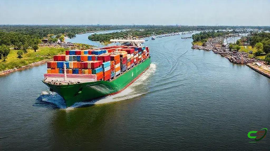 Tarifa zero nos EUA impulsiona exportação de carne bovina brasileira