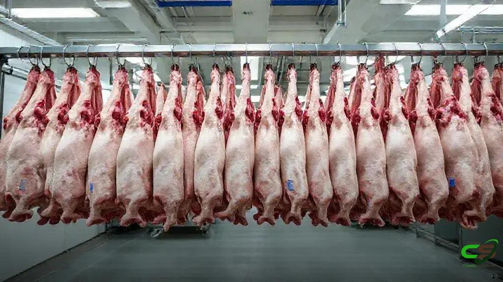 Tarifas dos EUA recuam e Cepea aponta melhora no clima do pecuário