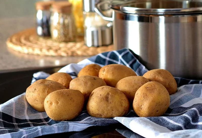 The Hottest Hairstyle at Fashion Week Is Not on the Runways 1 14