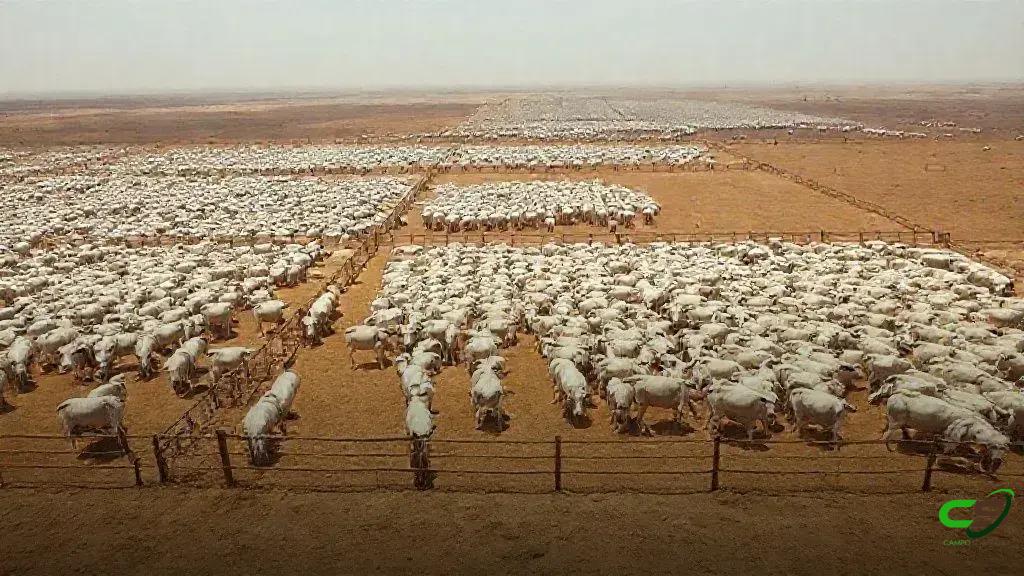 A Practical Guide to Creating Engaging YouTube Content