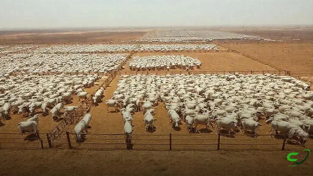 A Practical Guide to Creating Engaging YouTube Content