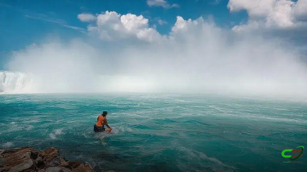 Ágio do bezerro frente ao boi gordo recua em novembro de 2025, Cepea