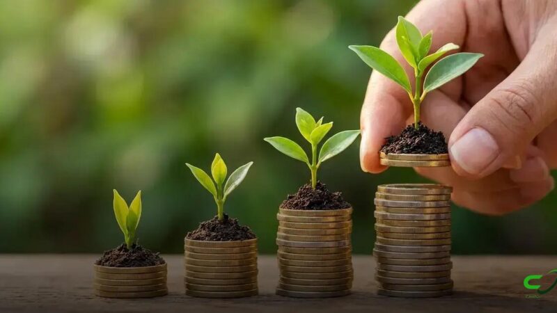 Agro em 2026: juros altos, custos firmes e margens mais apertadas