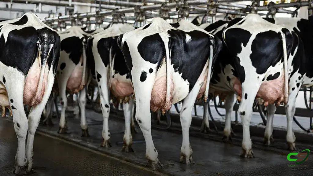 ALSB discute estratégias para vencer a crise do leite e antidumping ALSB discute estratégias para vencer a crise do leite e antidumping