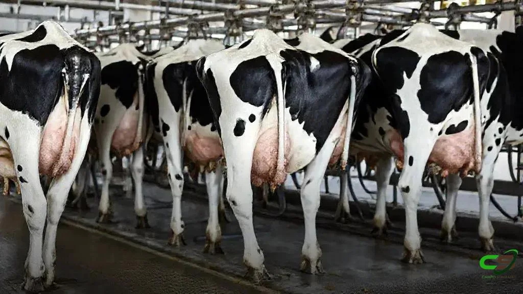 ALSB discute estratégias para vencer a crise do leite e antidumping