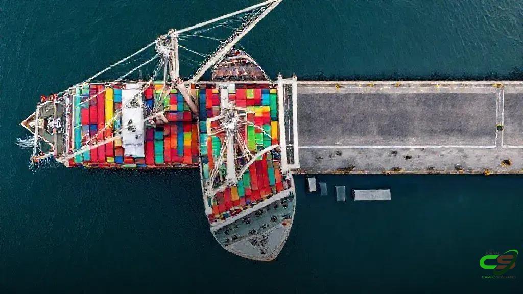 Brasil recebe abertura filipina para carne bovina com osso e miúdos