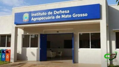 Brucelose: prazo de vacinação obrigatória em MT encerra nesta segunda-feira