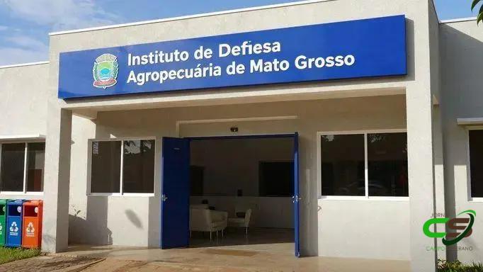 Brucelose: prazo de vacinação obrigatória em MT encerra nesta segunda-feira