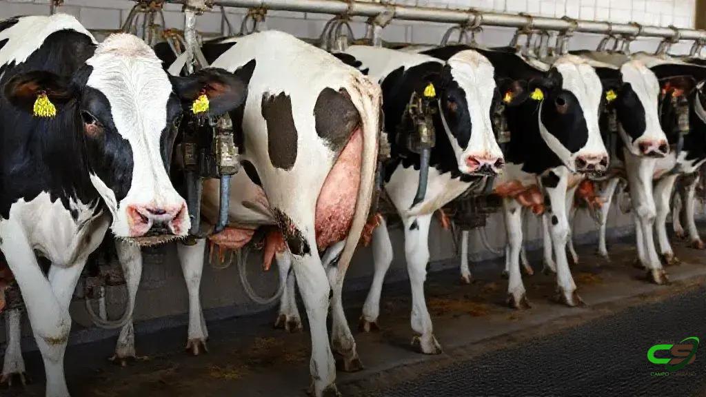 CNA denuncia dumping de leite e pede medidas antidumping para proteger produtores