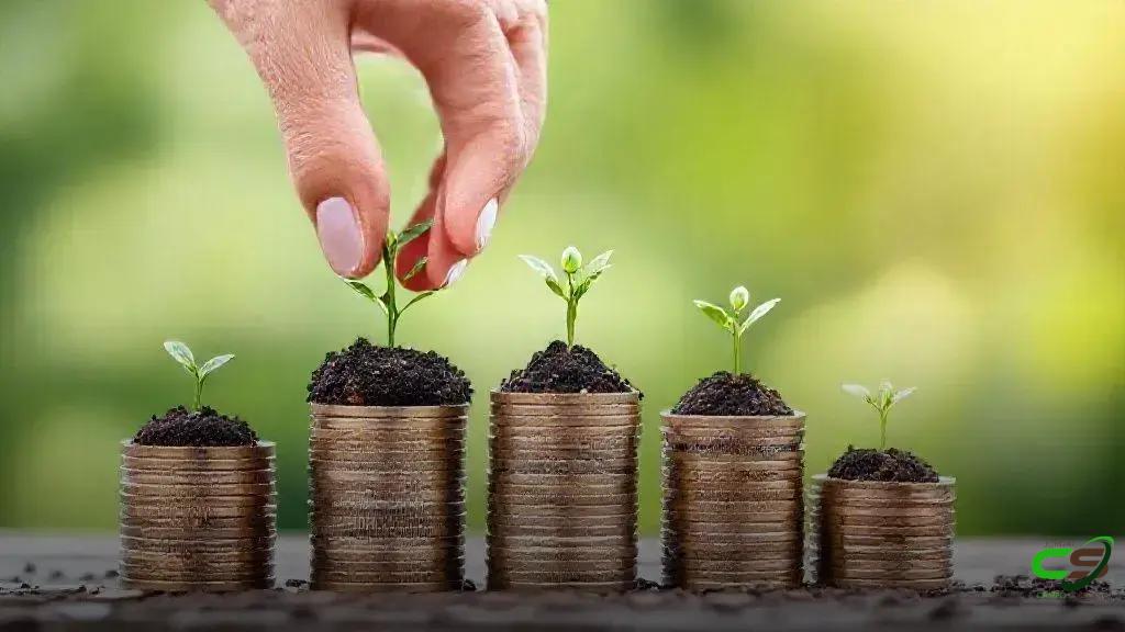 CNA lança calculadora da reforma tributária para CBS e IBS disponível CNA lança calculadora da reforma tributária para CBS e IBS disponível