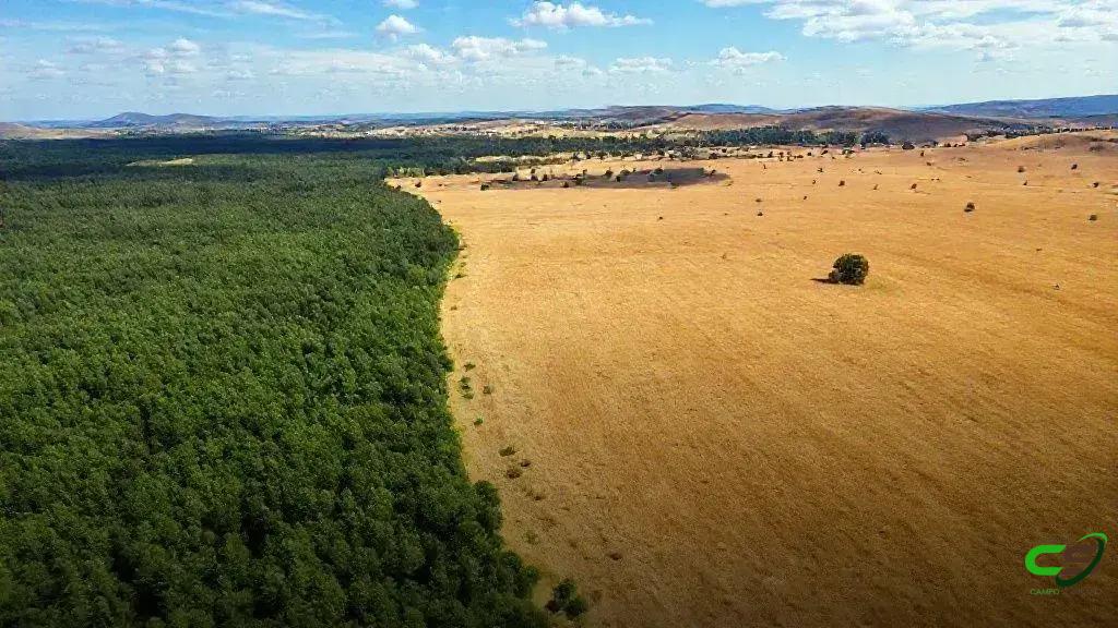 Cotas de Reserva Legal: novo proprietário assume responsabilidade ambiental Cotas de Reserva Legal: novo proprietário assume responsabilidade ambiental