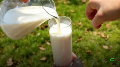 Crise do leite no RS: produtores perdem espaço e crédito não chega