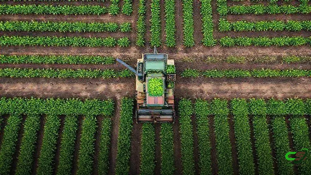 Depreciação na fazenda: o custo invisível que consome seu patrimônio