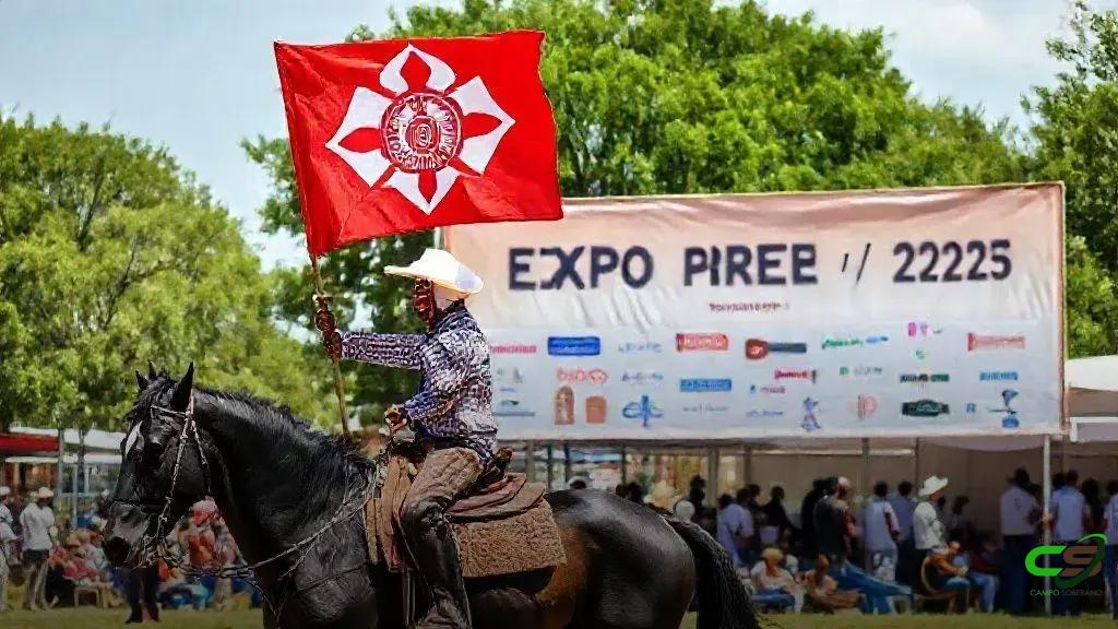 Expo Rio Preto destaca raça Sindi no gado leiteiro