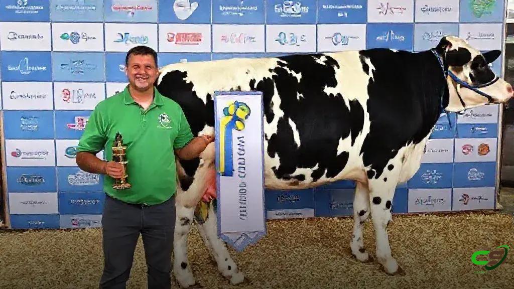 Fernanda Forbes: Vaca Girolando quebra recorde mundial de leite