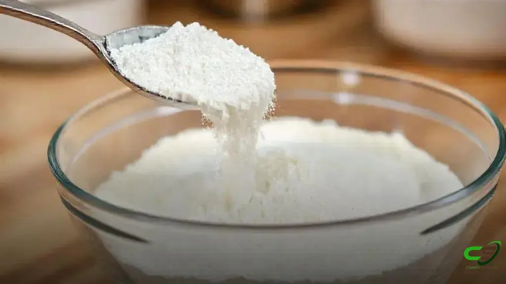 Governo do RS anuncia compra de 2,2 mil toneladas de leite em pó para reduzir excedente