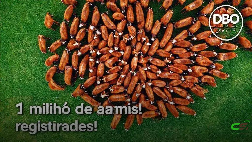 Hereford e Braford chegam à marca histórica de 1 milhão de animais no Brasil 1 Hereford e Braford chegam à marca histórica de 1 milhão de animais no Brasil