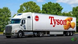 JSON Output Conforming to a Schema