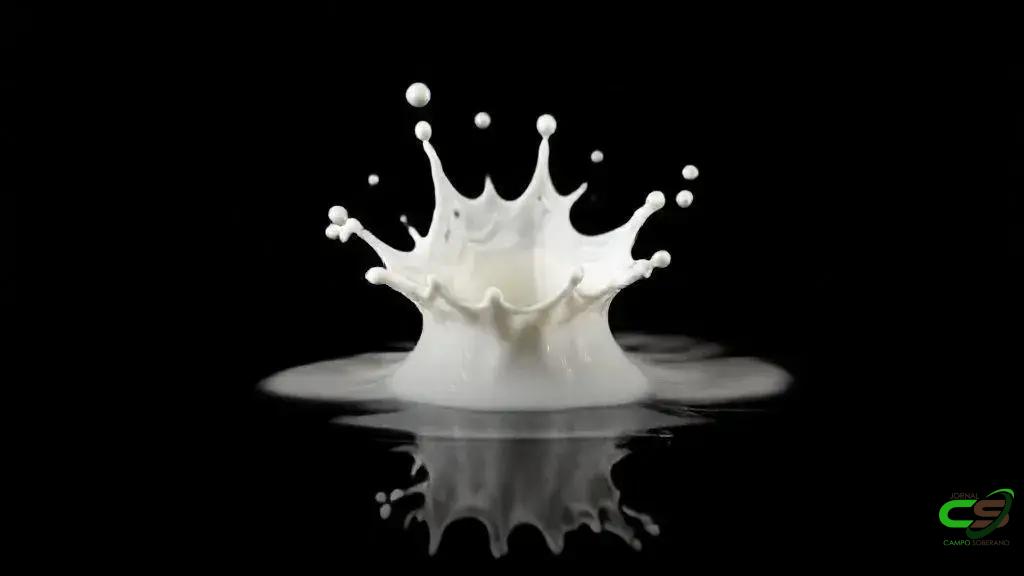 Leite Sustentável brasileiro recebe reconhecimento da FAO