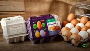 Mantiqueira USA adquire Hickman’s Egg Ranch, fortalecendo presença nos EUA