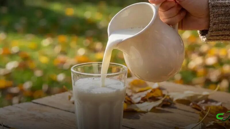 Mercado lácteo global pressiona preços do leite até 2026, aponta StoneX