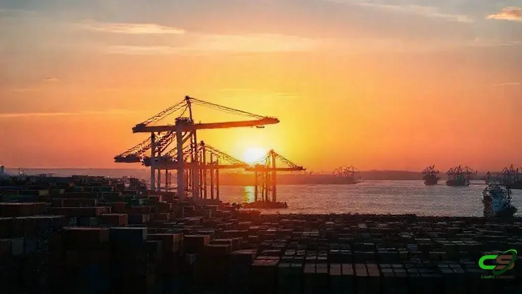 Mercosul-EFTA: CNA aponta acordo como alavanca para o agronegócio brasileiro