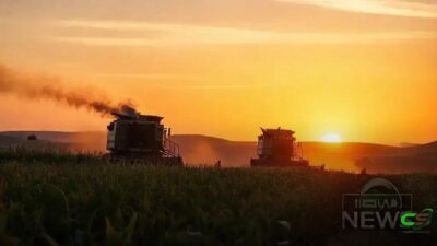 Milho futuro em alta: perspectivas para 2026 e 2027 iniciam dezembro firmes