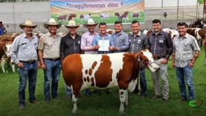 MS entrega animais de alto padrão genético a pecuaristas do Proleite