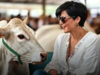 Nelore Mônica leva genética de ponta ao Leilão Faria Lima em SP