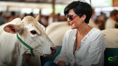 Nelore Mônica leva genética de ponta ao Leilão Faria Lima em SP