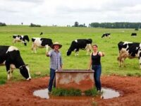 Nutrição de rebanho: Carolina Basso muda a história com Angus e integração