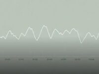 Preço corrigido do bezerro: tendência de alta e perspectivas para 2026