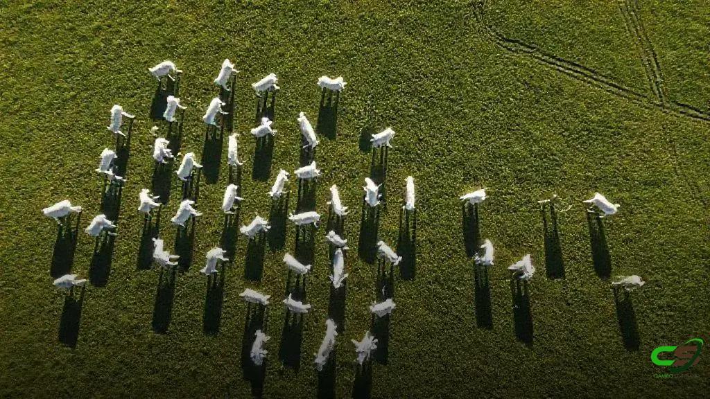 Preços em dólares do boi gordo, bezerro, milho e soja em novembro (2018-2025)