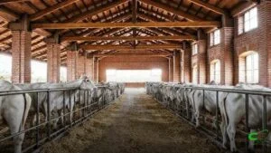 Pró-Genética Online brilha na Expogenética MS em Campo Grande