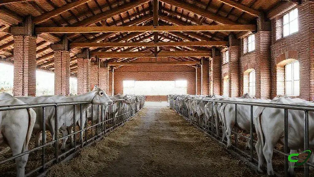 Pró-Genética Online brilha na Expogenética MS em Campo Grande