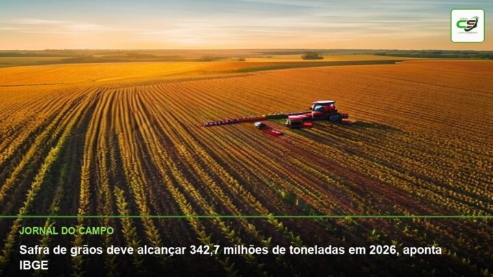 safra de grãos 2026, produção de grãos Brasil, expectativa safra grãos