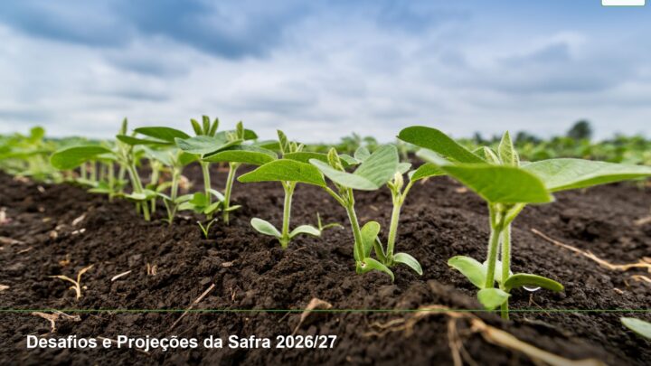 Desafios e Projeções da Safra 2026/27