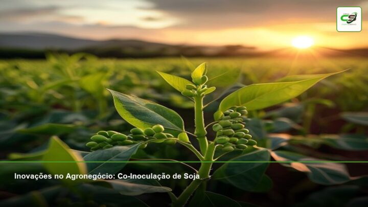 Inovações no Agronegócio: Co-Inoculação de Soja