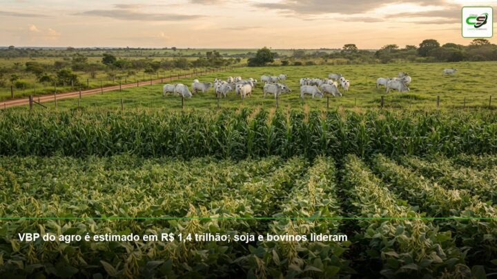 VBP agropecuário, soja, bovinos, milho, agronegócio