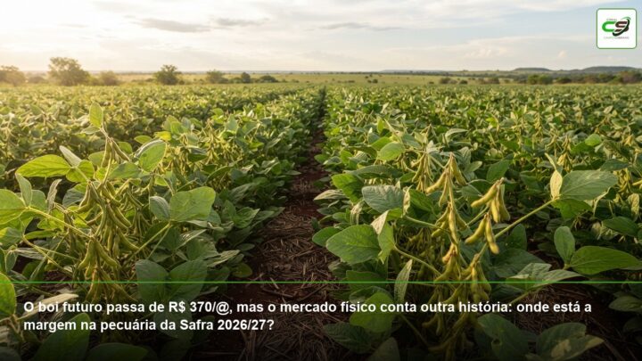 boi gordo, B3, mercado físico, preço da arroba, boi China, Safra 2026/27, margem pecuária