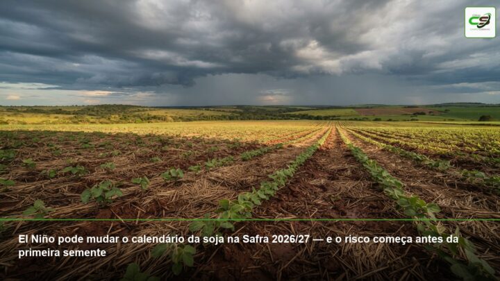 soja, Safra 2026/27, El Niño, plantio, chuvas, umidade do solo, palhada, replantio, produção agrícola